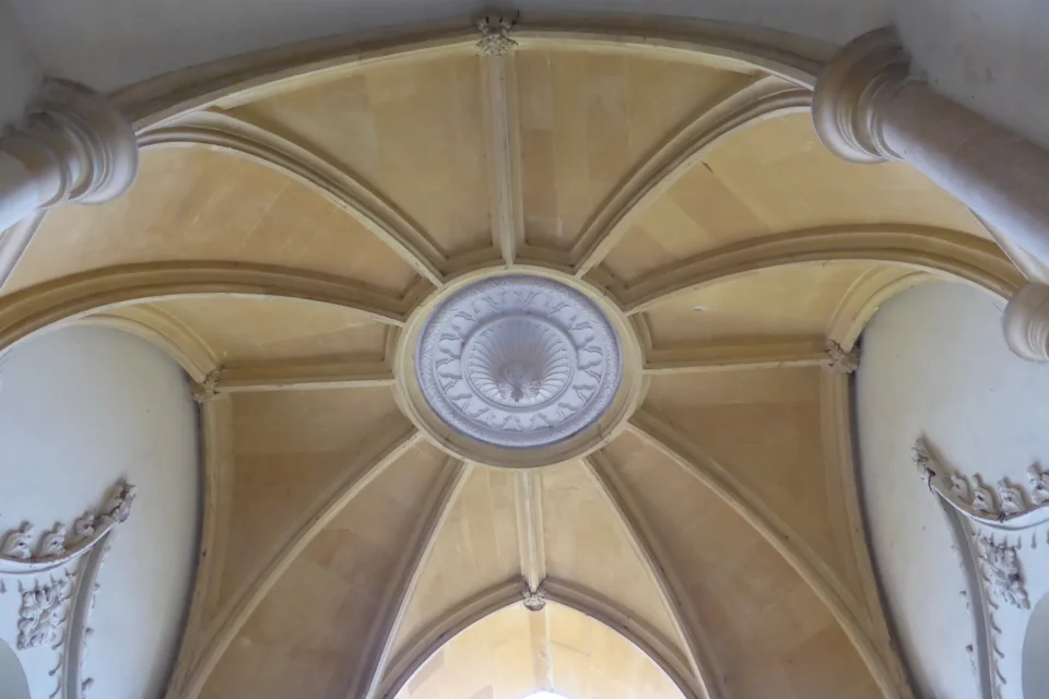 Decorative ceiling with white detailed ceiling rose