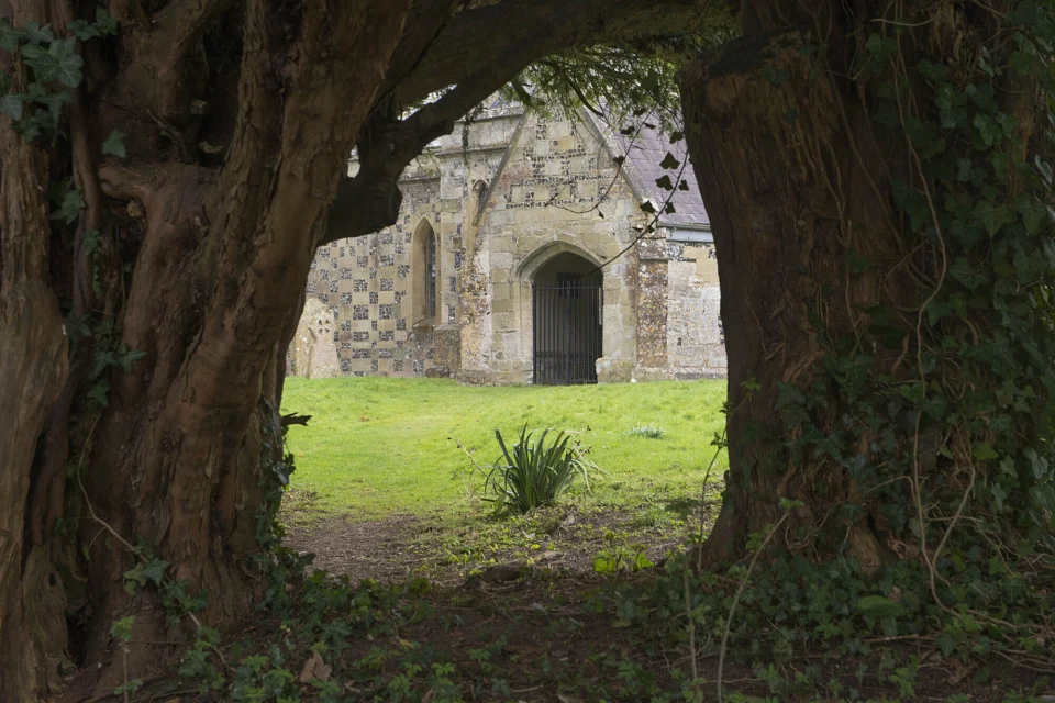 Two large trees create an archway leading to the main entrance of the church.