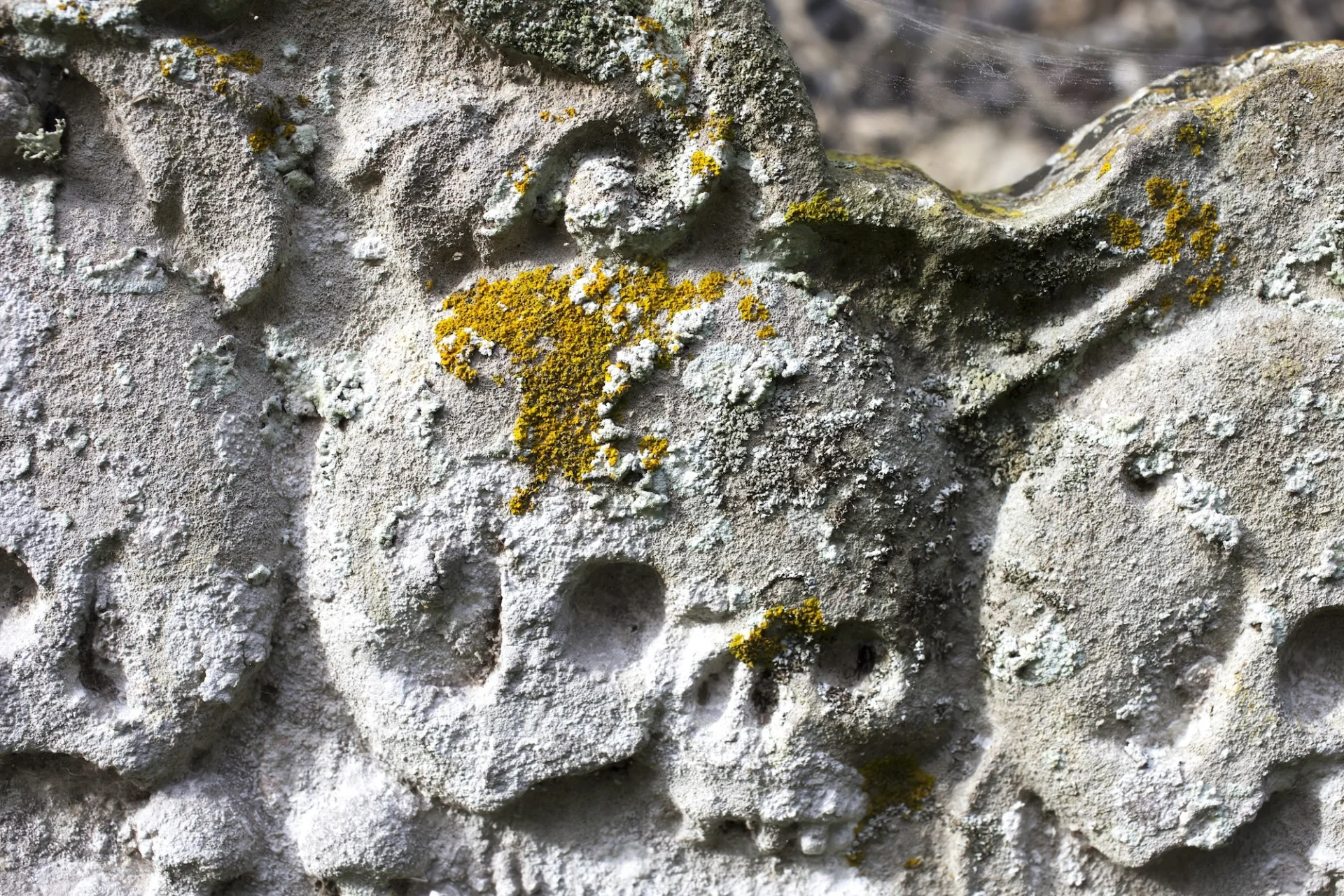 carving of skulls with large cranium in stone