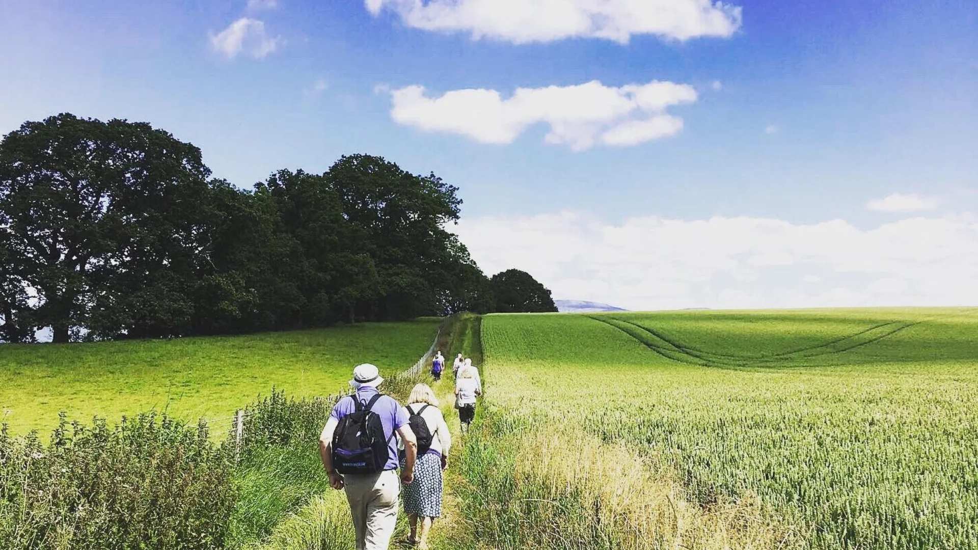 A group of people hiking along a green field