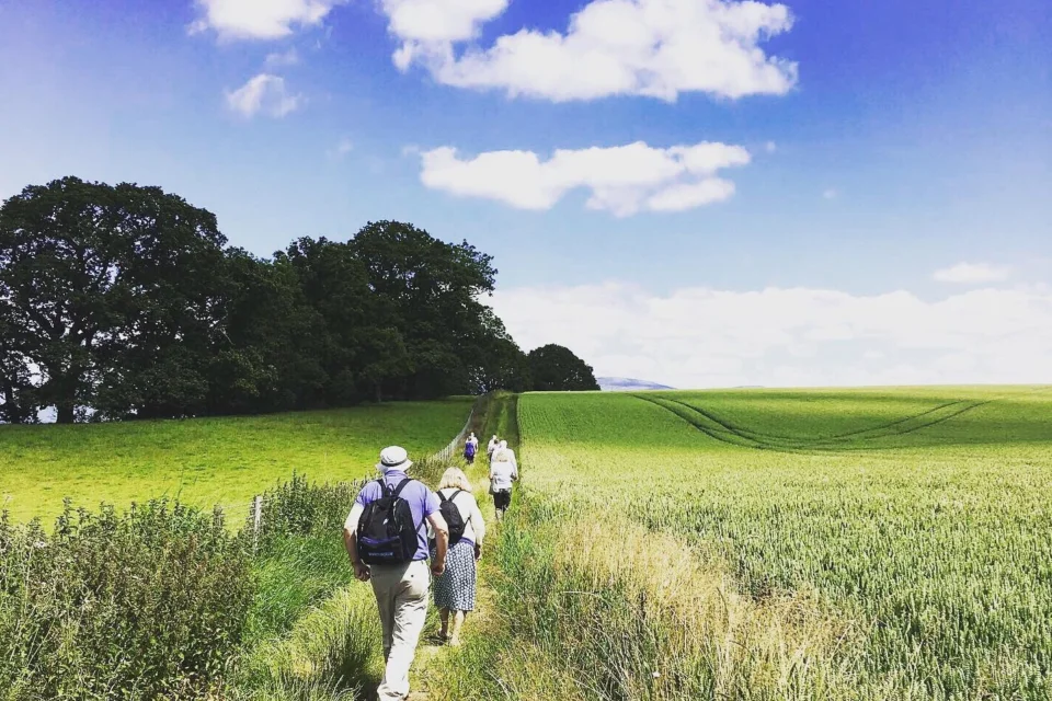 A group of people hiking along a green field