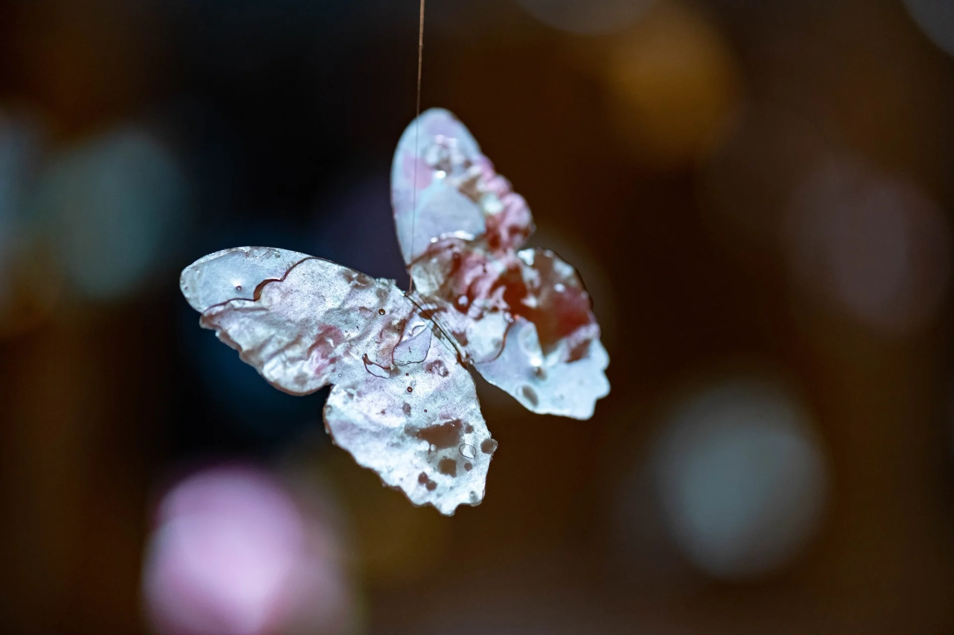 reflective suspended butterfly